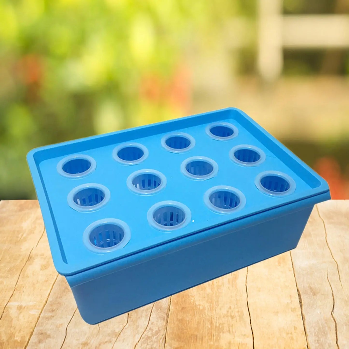 Hydroponics Grower Box 12 Holes Hydroponics Tools for Indoor Home Planting