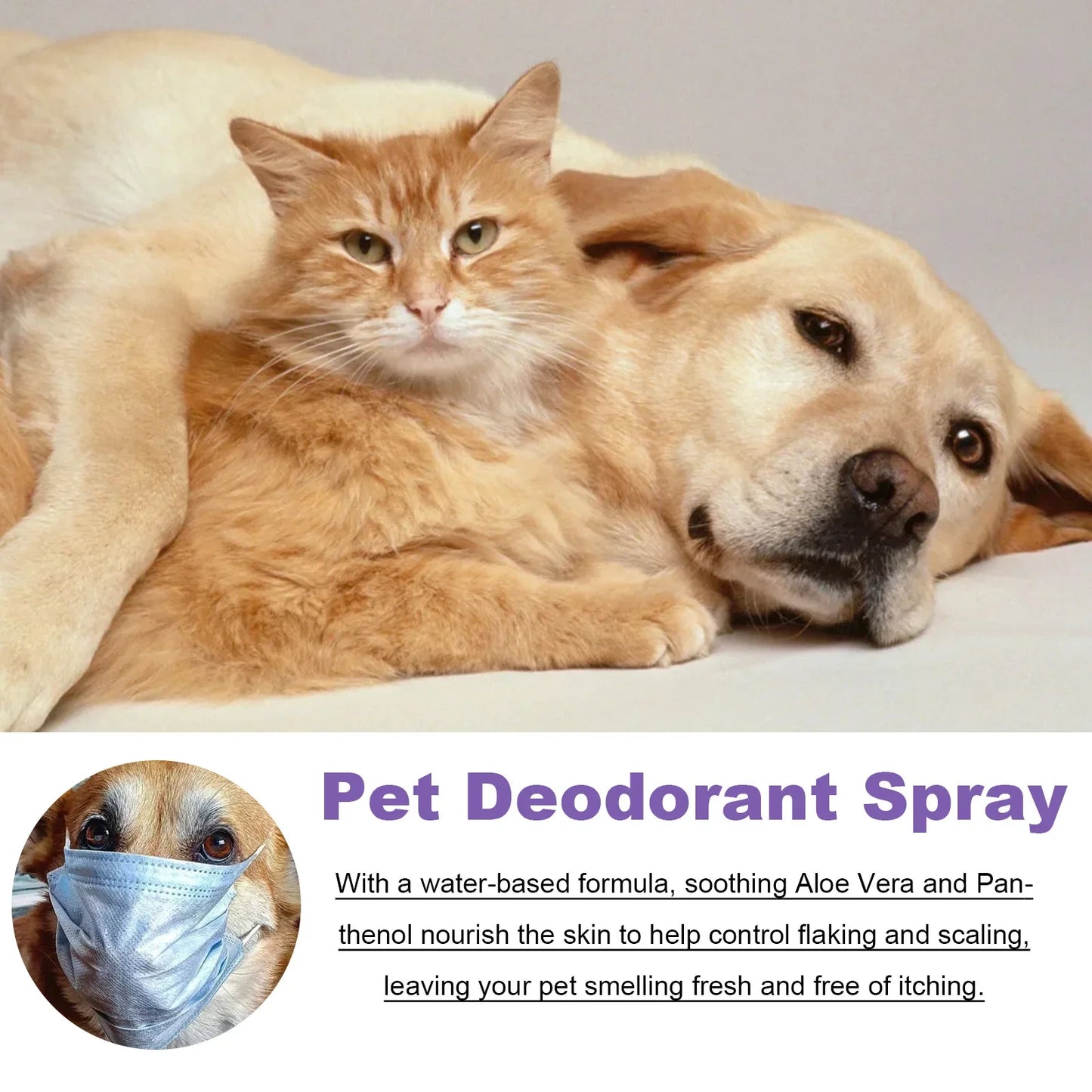 Pet Deodorization Spray 50ml Dog Perfume Lavender Oil Deodorization Spray Anti Itching Fragrant Pet  Cat and Dog Beauty Care