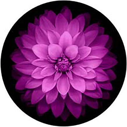 Phone Socket  Stand for Cell Phone Holder Попсокет Support Telephone Foldable Mobile Stand Folding Grip Tok Grab a Mobile Hand