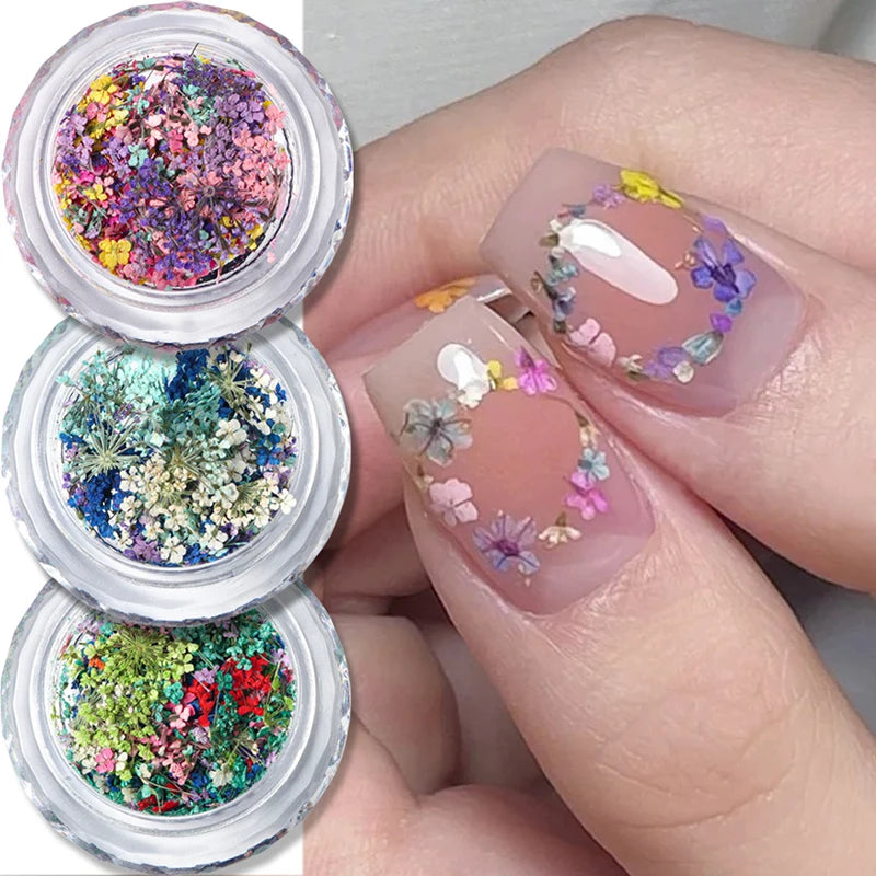 1 Box Nail Art Flower Decoration Delicate Dried Flower Nail Art Decorations Exquisite Nail Art Beauty For Charms Accessories