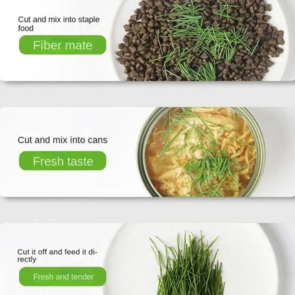 Hydroponic Cat Grass Box Planter Reusable Easy To Grow Microgreens Growing Kit Hierarchical Design Cat Grass Growing Pot