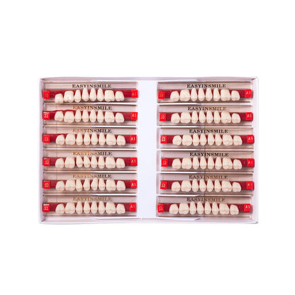 16/12 Sets/ Box Dental Teeth Anterior Posterior Polymer Denture acrylic Tooth A2 A3 2 Layers Dentistry Materials Education Model