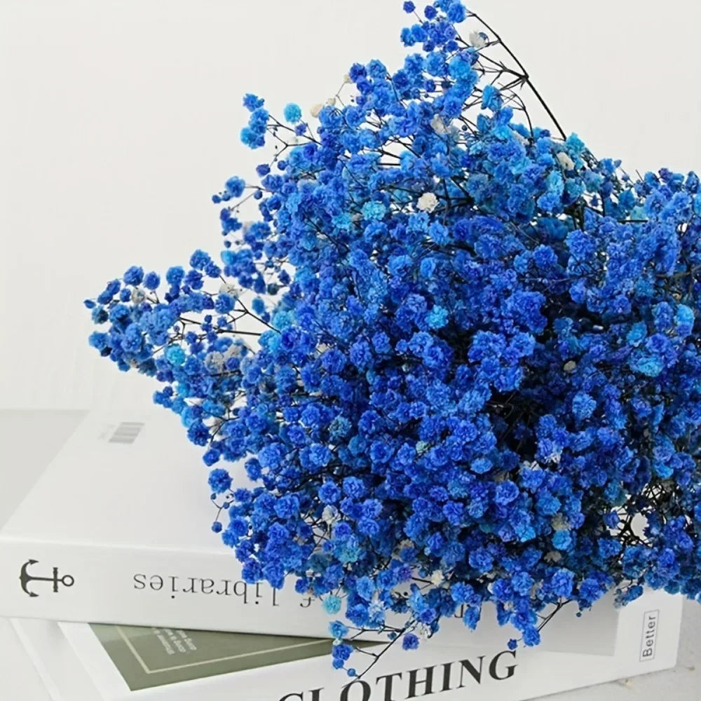 130g Natural Dried Preserved Flowers Babys Breath Home Decoration Natrual Gypsophila Wedding Decor Artificial Flower Photo Props