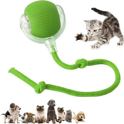 Interactive Cat Toys for Indoor Cats Rechargeable 360° Automatic Moving Cat Toy for Bored Indoor Adult Cats Motion Kitten Toys