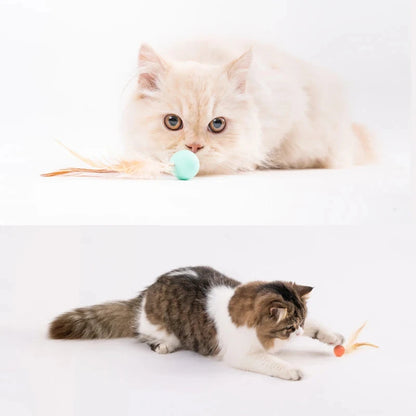 Cat Interactive Ball Toys Interactive Bouncy Ball with Feathers Cat Toys for Indoor Cats and Kittens Pet Elastic Ball