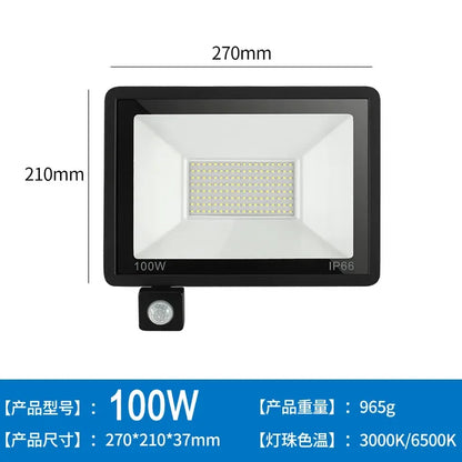 LED Floodlights 100W 50W 30W 20W 10W PIR Motion Sensor IP66 Waterproof LED 220V Hanging Exterior Outdoor Wall Lamp Spotlight