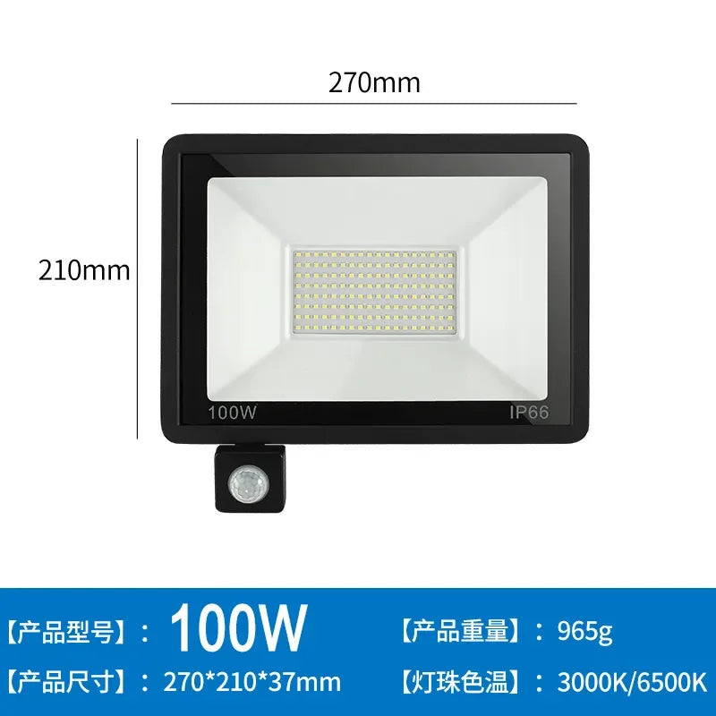 LED Floodlights 100W 50W 30W 20W 10W PIR Motion Sensor IP66 Waterproof LED 220V Hanging Exterior Outdoor Wall Lamp Spotlight