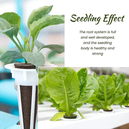 Fully-Loaded 25/121pcs Hydroponic Gardening Kit with Grow Baskets, See-through Insulation Lids, Sponges, and Labels