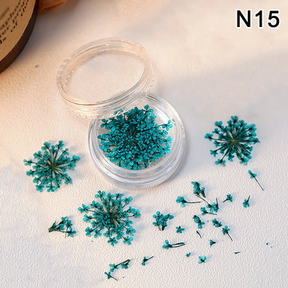 1 Box Nail Art Flower Decoration Delicate Dried Flower Nail Art Decorations Exquisite Nail Art Beauty For Charms Accessories