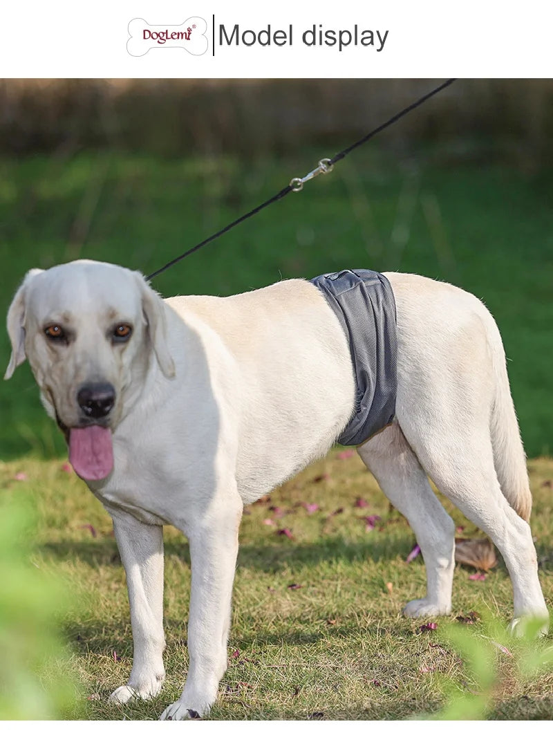 Washable Male Dog Diaper Reusable Pet Physiological Sanitary Pants Nappy Belly Band Wrap Hight Absorbent Leak Proof Diapers