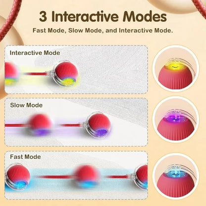 Interactive Dog Toys Rechargeable Pet Interactive Toys Electric Cats Ball Automatic Rolling Fake Tail Ball Dog Cats Toy