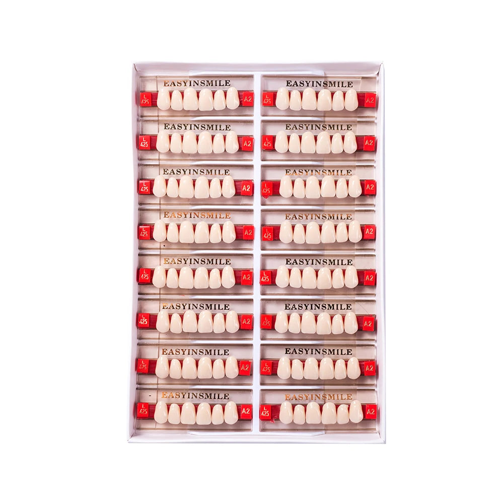 16/12 Sets/ Box Dental Teeth Anterior Posterior Polymer Denture acrylic Tooth A2 A3 2 Layers Dentistry Materials Education Model