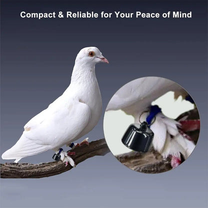 Pet Anti-Lost GPS Tracker Global Locator Pet Mini Tracking Movement Alert Collars Waterproof Locator Real-time Tracking Locator