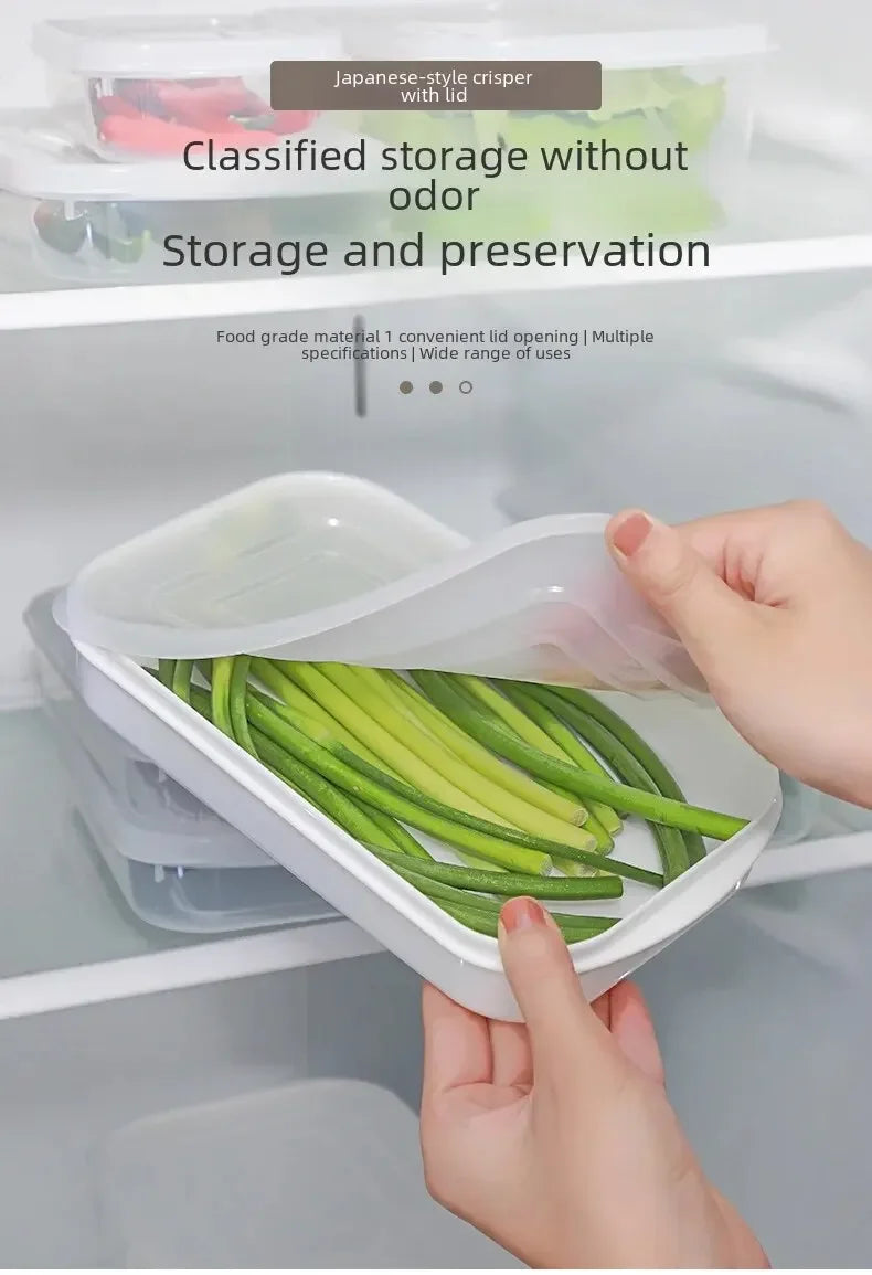 Modern Simple Style Portable Fridge Classification Preservation Box Meat Box Cold Storage Bento Onion Garlic Sub-box