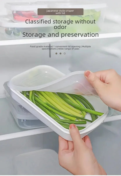 Modern Simple Style Portable Fridge Classification Preservation Box Meat Box Cold Storage Bento Onion Garlic Sub-box