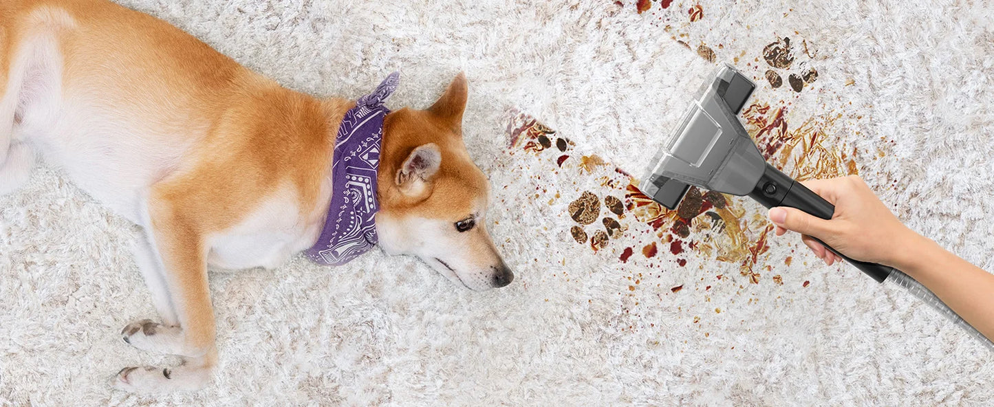 TASVAC C7 Portable Carpet & Upholstery Cleaner Machine, Spot And Stain Deep Cleaner With Two Brushes & Remover Formula For Pets,