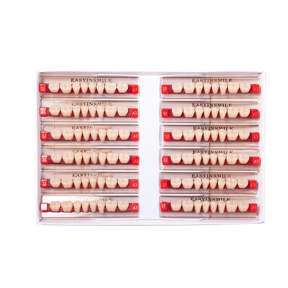 16/12 Sets/ Box Dental Teeth Anterior Posterior Polymer Denture acrylic Tooth A2 A3 2 Layers Dentistry Materials Education Model