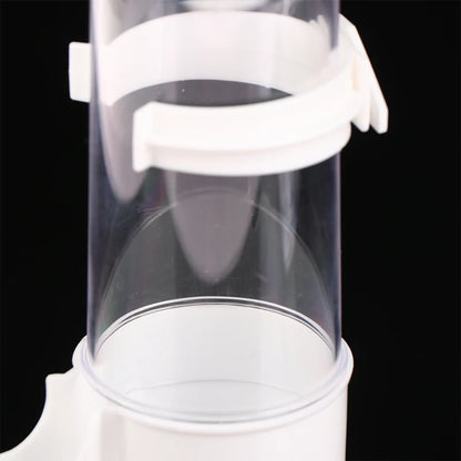 Rutin Chicken Automatic Food Feeder Large Capacity Anti-overturning Food Box Poultry Feeding Supplies Clear Food Dispenser