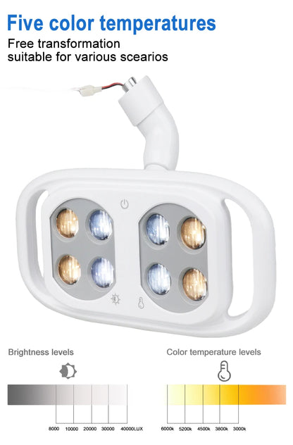 Dental Oral Light 8Bulds LED With Smart Sensor Switch Adjustable Brightness Surgical Lamp Dentistry Induction Yellow White Light