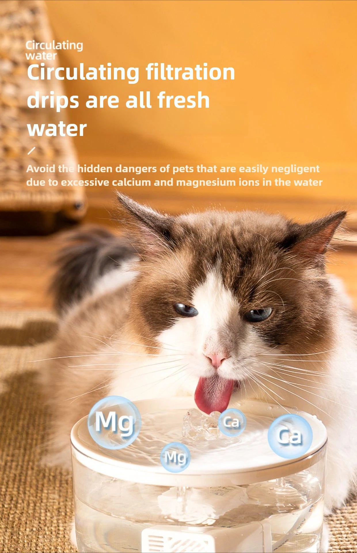 1L USB Electric Mute Pet Water Fountain Automatic Cat Drinking Bowl Filter Quiet Dispenser with Carbon Filter for Fresh Water