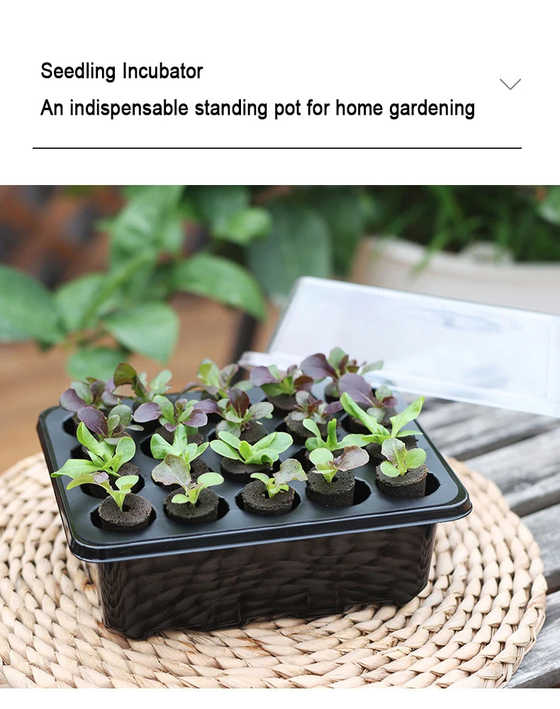 20 Hole Hydroponic Plant Seedling Pots with Intelligent Fill Light Seedling Tray for Fruit Vegetable Gardening Planting Supplies