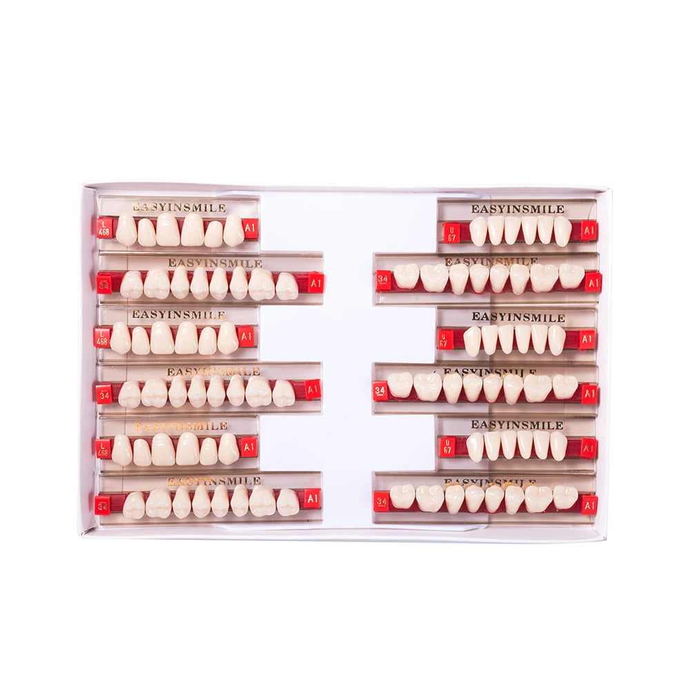 16/12 Sets/ Box Dental Teeth Anterior Posterior Polymer Denture acrylic Tooth A2 A3 2 Layers Dentistry Materials Education Model