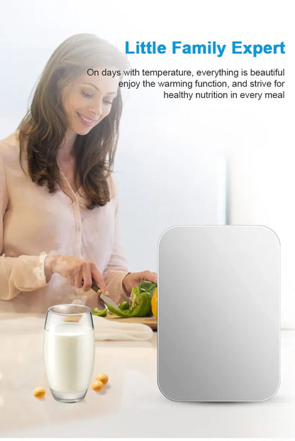 6L Mini Car Refrigerator 12V DC 220V AC Electric Portable Beauty Cooler Warmer Car Mini Fridge Ice Box for Home Camping Travel