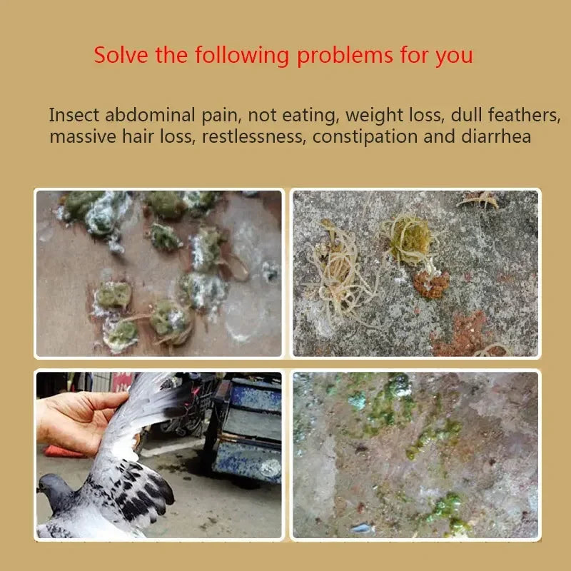 NEW Pigeon body deworming 100 tablets roundworm nematode arthropod coccidia tapeworm nutritional supplements