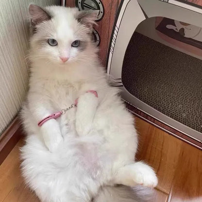 Interesting Toys Handcuffs Cute Interactive Cat Toys Playing with Cats Pet Supplies Cat Supplies