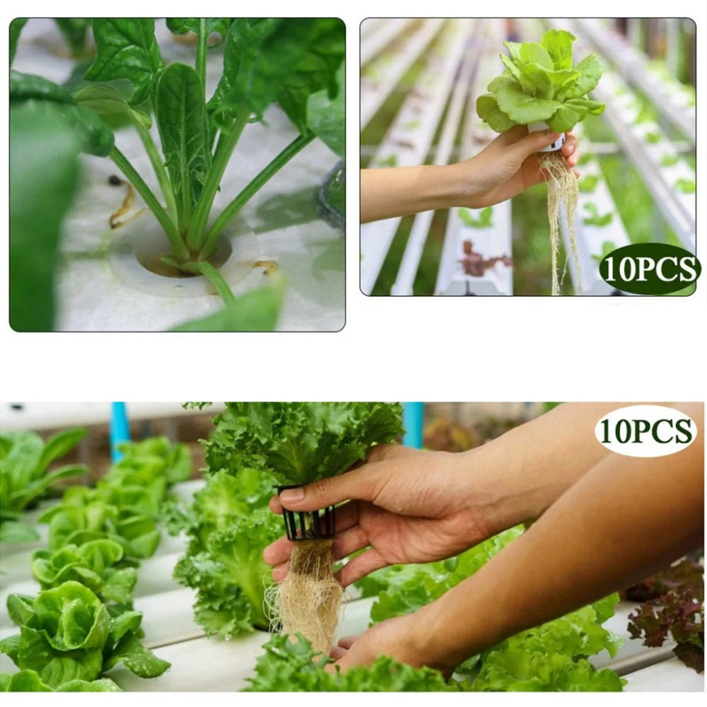 Hydroponic Basket 10pcs Plant Containers Grow Pots High Quality Round Shape Heavy Duty Net Cups Indoor and Outdoor Home Supplies