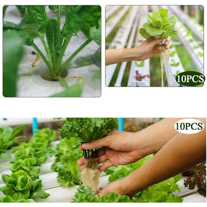 Hydroponic Basket 10pcs Plant Containers Grow Pots High Quality Round Shape Heavy Duty Net Cups Indoor and Outdoor Home Supplies