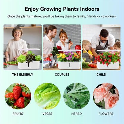 Hydroponics Growing System Indoor Garden Herb Garden Kit Indoor with LED Grow Light Quiet Smart Water Pump Automatic Timer Plant