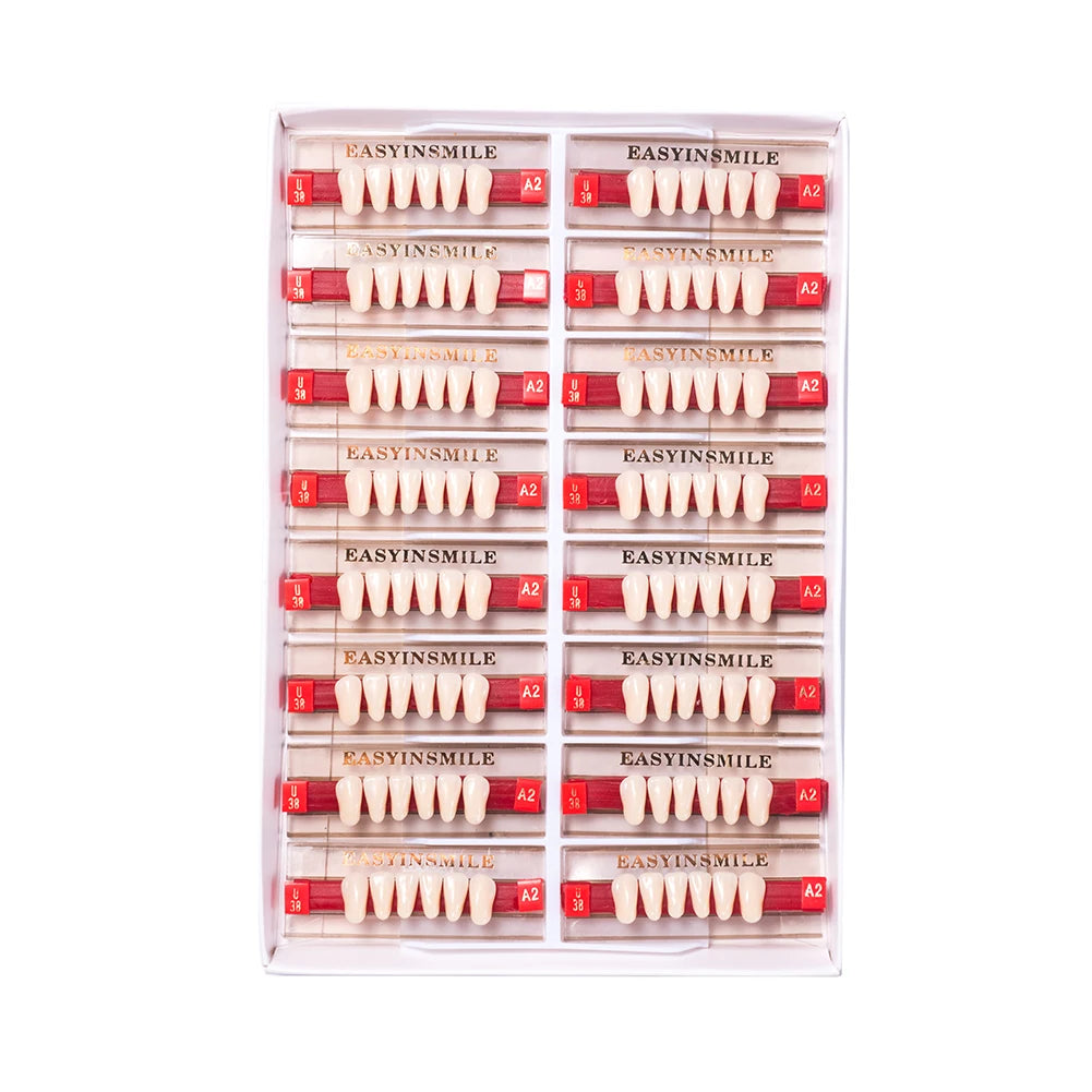 16/12 Sets/ Box Dental Teeth Anterior Posterior Polymer Denture acrylic Tooth A2 A3 2 Layers Dentistry Materials Education Model