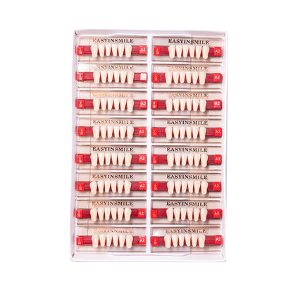16/12 Sets/ Box Dental Teeth Anterior Posterior Polymer Denture acrylic Tooth A2 A3 2 Layers Dentistry Materials Education Model