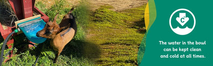 Automatic Water Drinking Bowl Farm Animals Water Feeder Cow Drinking Tool for Sheep Goats Feeding Water Bowl Livestock Supplies