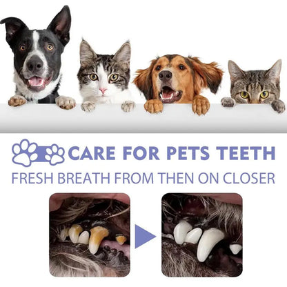 60ml Pet Oral Cleanse Spray Dogs Cats Mouth Fresh Teeth Clean Deodorant Prevent Calculus Remove Kitten Bad Breath Pet Supplies