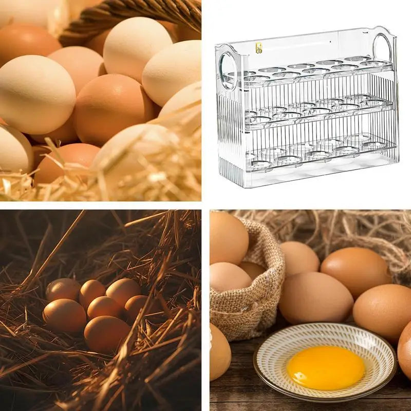 Egg Holder for Fridge 3-Tier Egg Organizer for Fridge With Time Scale Large Capacity Reversible Egg Rack Space-Saving Egg Keeper