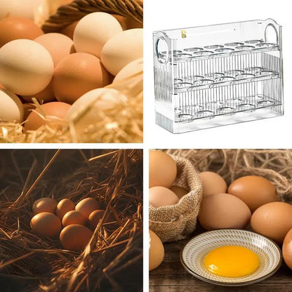 Egg Holder for Fridge 3-Tier Egg Organizer for Fridge With Time Scale Large Capacity Reversible Egg Rack Space-Saving Egg Keeper