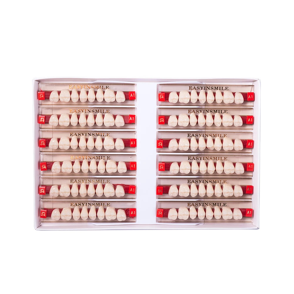 16/12 Sets/ Box Dental Teeth Anterior Posterior Polymer Denture acrylic Tooth A2 A3 2 Layers Dentistry Materials Education Model