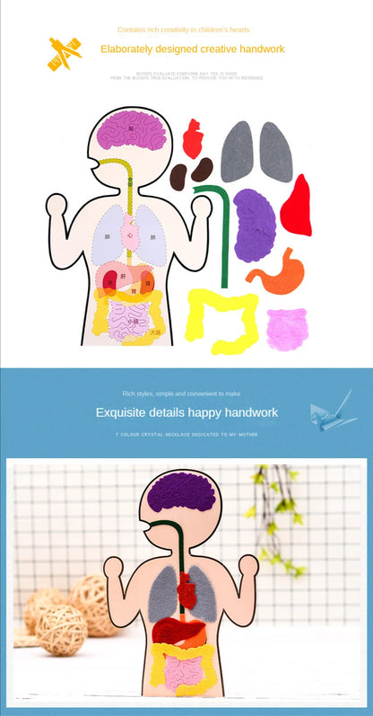 Biology teacher accessories DIY Organ Teaching Aids Scholar kit Home School Biological Science Educational Toys For Children  88