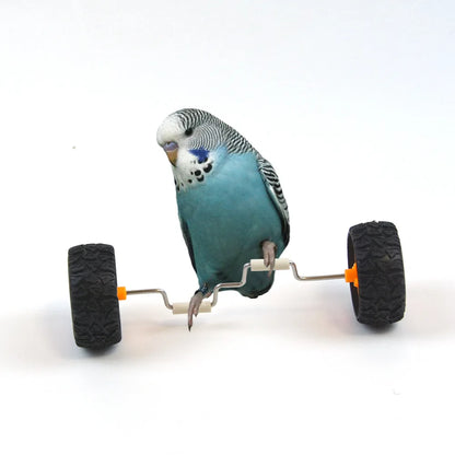 Parrot Training Balancing Bike Toy Interactive Row Roller Bird Cage Toy Cockatiels Training Birds Cage Sports Supplies