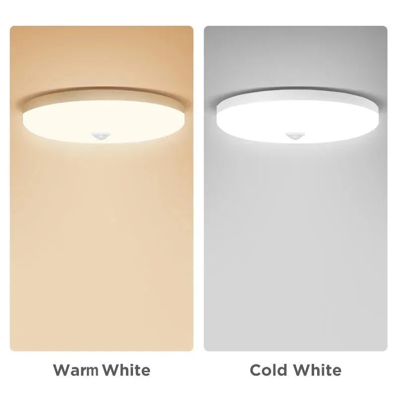 Led Ceiling Lamp With Motion Sensor 40W 30W 20W 18W 15W 12W Led Ceiling Light Fixtures For Entrance Balcony Corridor 110V 220V