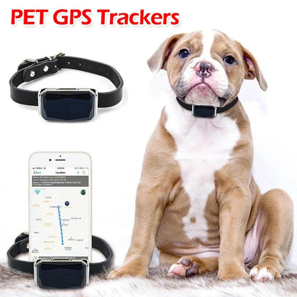 Real-Time Call Remote Control Pet GPS Tracker Cats Dogs Sheep Adjustable Collar Waterproof GPS Locator