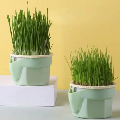 Hydroponic Cat Grass Box Planter Reusable Easy To Grow Microgreens Growing Kit Hierarchical Design Cat Grass Growing Pot