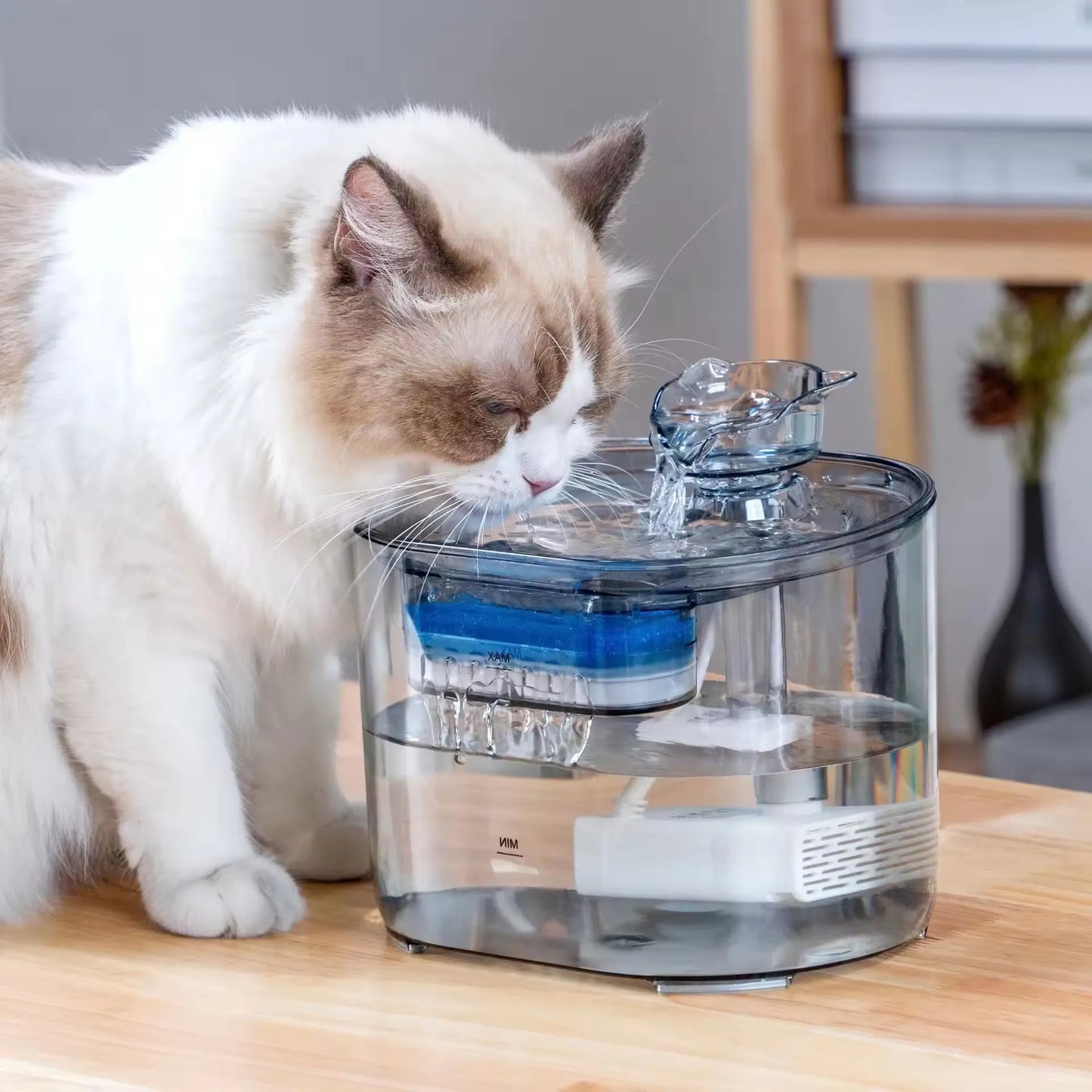 Cat Water Fountain Automatic Rechargeable Pet Water Feeder Cat Water Dispenser
