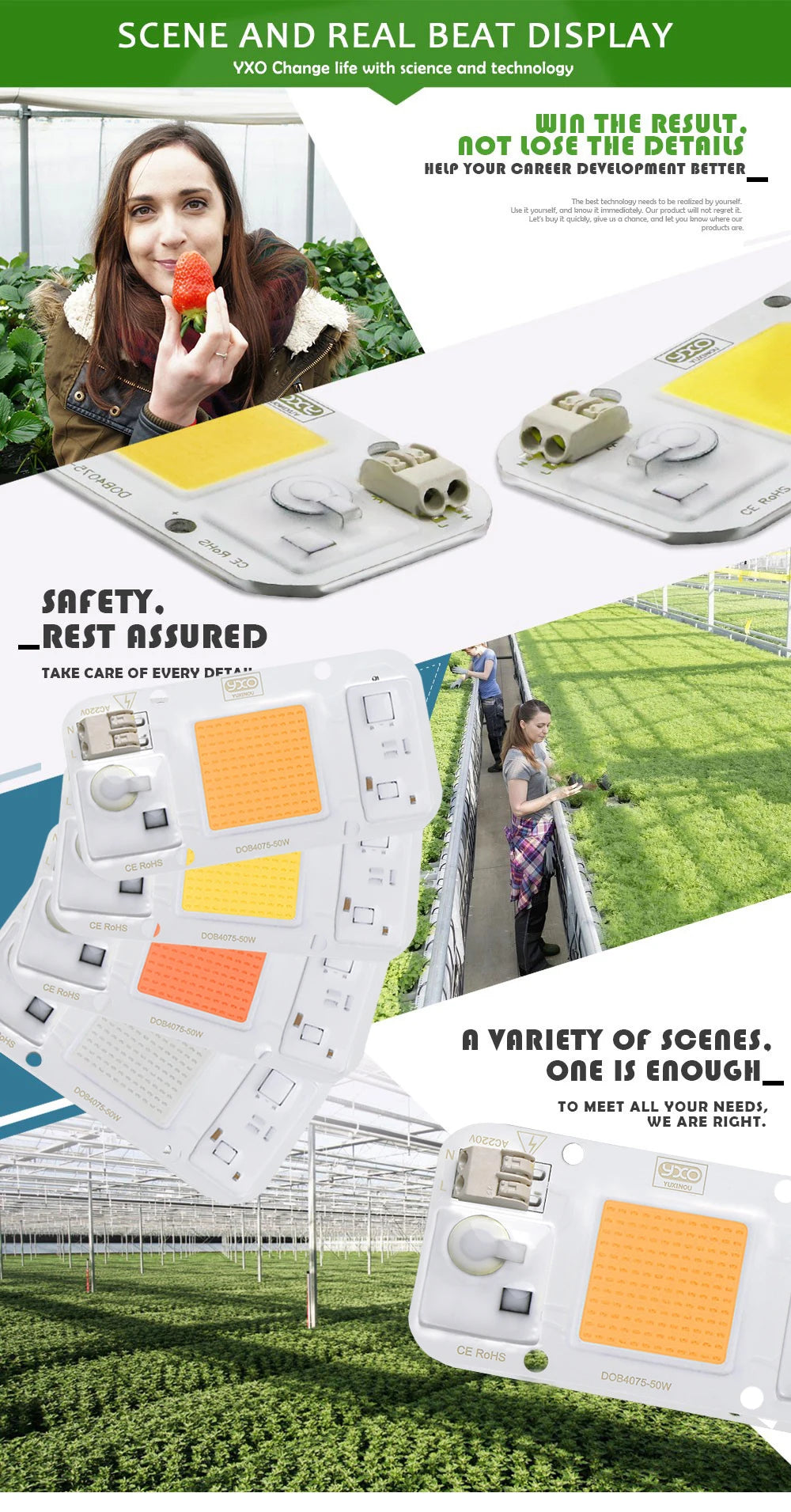 Smart IC LED COB Bulb Chip 20W 30W 50W 230V Input IP65 Waterproof for DIY Street Flood Light Projects Cold/Warm White Options