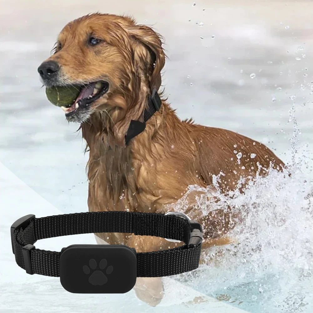 Pet GPS Tracker Dog Cat Locator - Adjustable Collar, Real-Time Tracking, Waterproof, Long Battery Life, Works with iOS Android
