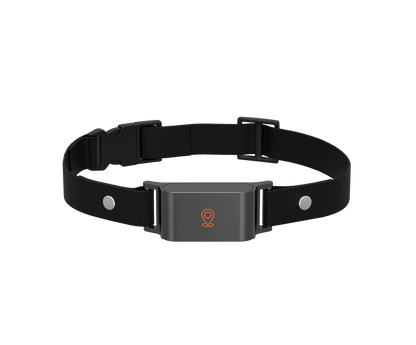 4G GPS Tracker Pet for Dog Cat Fashion Neck Collar Location Smart Tracking Lmitation Lost 4G SIM