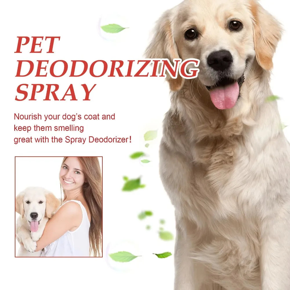 Pet Deodorizer Household Pet Enzyme Deodorizer Cat and Dog Urine Carpet Stain Remover Enzyme Cat Urine Remover Cleaning Spray