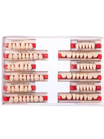 16/12 Sets/ Box Dental Teeth Anterior Posterior Polymer Denture acrylic Tooth A2 A3 2 Layers Dentistry Materials Education Model